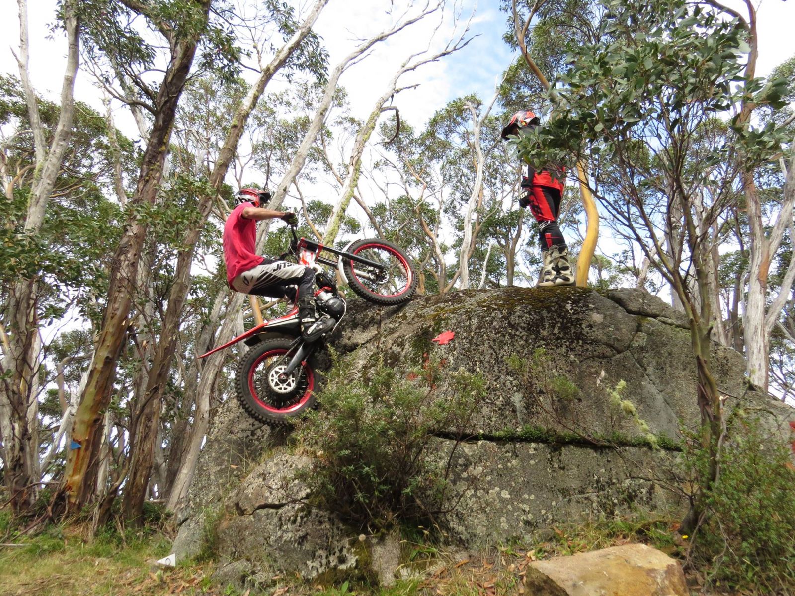 mt baw baw mtb